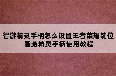 智游精灵手柄怎么设置王者荣耀键位 智游精灵手柄使用教程